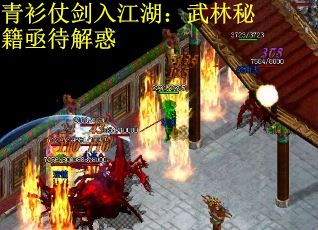 青衫仗剑入江湖：武林秘籍亟待解惑