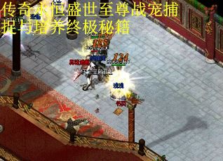 传奇永恒盛世至尊战宠捕捉与培养终极秘籍