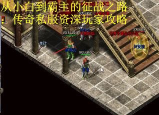 从小白到霸主的征战之路：传奇私服资深玩家攻略