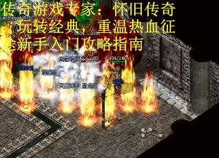 传奇游戏专家：怀旧传奇：玩转经典，重温热血征途新手入门攻略指南