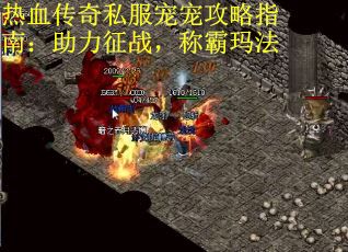 热血传奇私服宠宠攻略指南：助力征战，称霸玛法