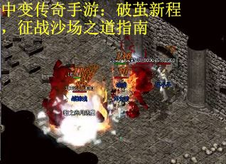 中变传奇手游：破茧新程，征战沙场之道指南