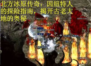 北方冰原传奇：因纽特人的探险指南，揭开古老大地的奥秘