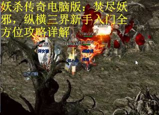 妖杀传奇电脑版：焚尽妖邪，纵横三界新手入门全方位攻略详解
