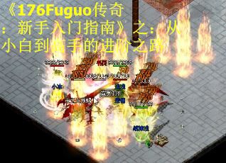 《176Fuguo传奇：新手入门指南》之：从小白到高手的进阶之路