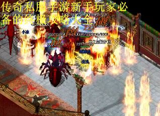 传奇私服手游新手玩家必备的终极攻略大全