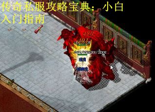传奇私服攻略宝典：小白入门指南