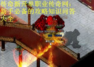 传奇新开单职业传奇网：新手必备的攻略知识问答大全