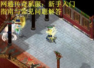 网通传奇私服：新手入门指南与常见问题解答