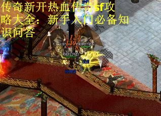 传奇新开热血传奇sf攻略大全:新手入门必备知识问答