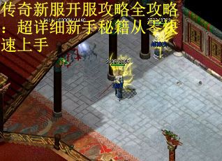 传奇新服开服攻略全攻略：超详细新手秘籍从零快速上手