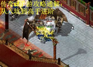 传奇sf手游攻略通解：从入坑到高手进阶