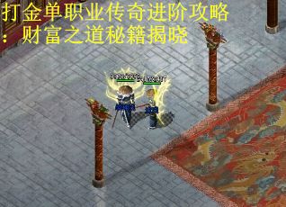 打金单职业传奇进阶攻略：财富之道秘籍揭晓
