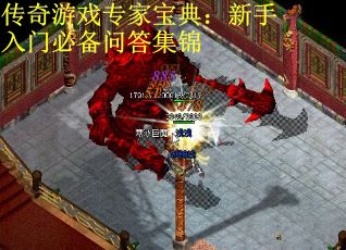 传奇游戏专家宝典：新手入门必备问答集锦