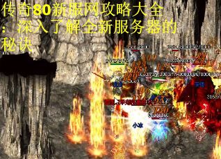 传奇80新服网攻略大全：深入了解全新服务器的秘诀