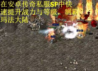 在安卓传奇私服SF中快速提升战力与等级，制霸玛法大陆