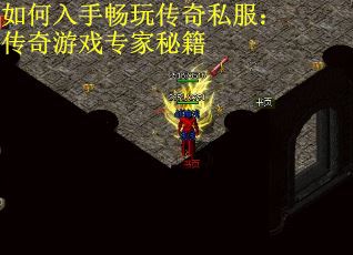 如何入手畅玩传奇私服：传奇游戏专家秘籍