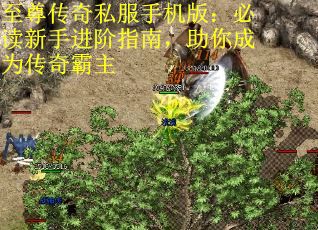 至尊传奇私服手机版：必读新手进阶指南，助你成为传奇霸主