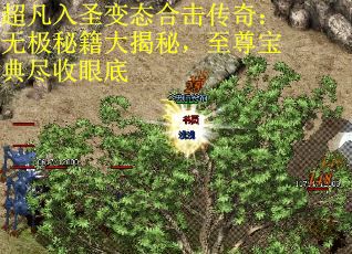 超凡入圣变态合击传奇：无极秘籍大揭秘，至尊宝典尽收眼底