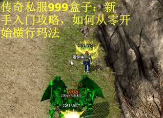 传奇私服999盒子：新手入门攻略，如何从零开始横行玛法