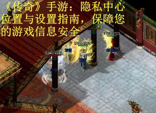 《传奇》手游:隐私中心位置与设置指南,保障您的游戏信息安全