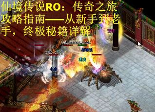 仙境传说RO：传奇之旅攻略指南——从新手到老手，终极秘籍详解
