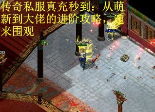 传奇私服真充秒到：从萌新到大佬的进阶攻略，速来围观