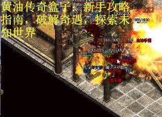 黄油传奇盒子：新手攻略指南，破解奇遇，探索未知世界