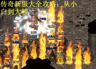 传奇新服大全攻略：从小白到大神