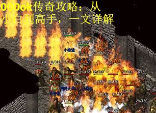 000ok传奇攻略：从小白到高手，一文详解