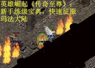 英雄崛起《传奇至尊》：新手练级宝典，快速征服玛法大陆