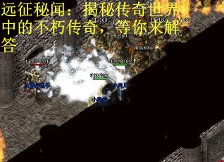 远征秘闻：揭秘传奇世界中的不朽传奇，等你来解答