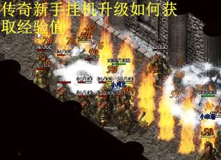 传奇新手挂机升级如何获取经验值