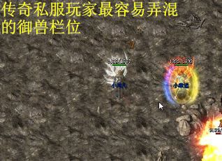 传奇私服玩家最容易弄混的御兽栏位