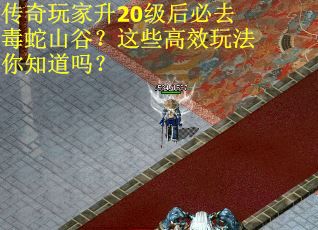 传奇玩家升20级后必去毒蛇山谷？这些高效玩法你知道吗？
