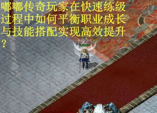 嘟嘟传奇玩家在快速练级过程中如何平衡职业成长与技能搭配实现高效提升?