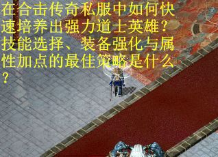 在合击传奇私服中如何快速培养出强力道士英雄?技能选择、装备强化与属性加点的最佳策略是什么?