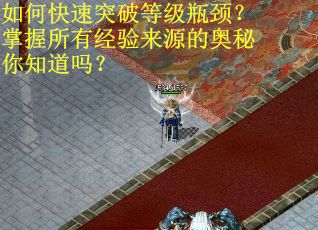 如何快速突破等级瓶颈?掌握所有经验来源的奥秘你知道吗?