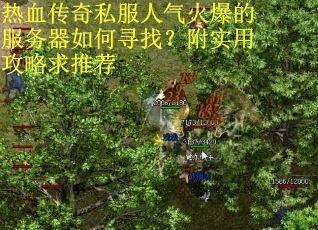热血传奇私服人气火爆的服务器如何寻找？附实用攻略求推荐