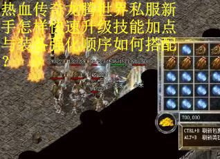热血传奇龙腾世界私服新手怎样快速升级技能加点与装备强化顺序如何搭配？