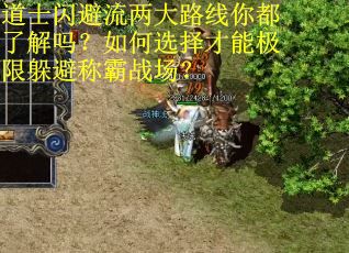 道士闪避流两大路线你都了解吗？如何选择才能极限躲避称霸战场？