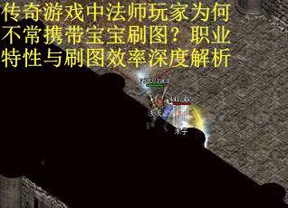 传奇游戏中法师玩家为何不常携带宝宝刷图？职业特性与刷图效率深度解析