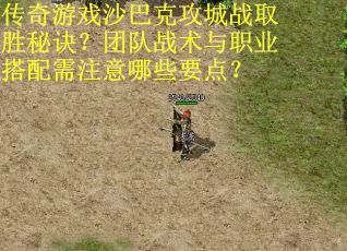 传奇游戏沙巴克攻城战取胜秘诀？团队战术与职业搭配需注意哪些要点？
