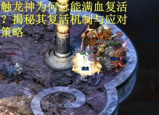 触龙神为何总能满血复活？揭秘其复活机制与应对策略