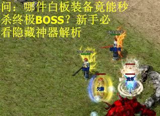 问：哪件白板装备竟能秒杀终极BOSS？新手必看隐藏神器解析