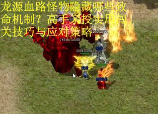 龙源血路怪物隐藏哪些致命机制？高手亲授实用闯关技巧与应对策略