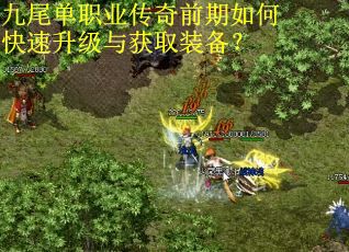 九尾单职业传奇前期如何快速升级与获取装备？