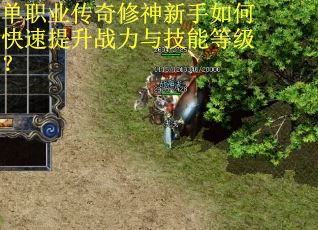 单职业传奇修神新手如何快速提升战力与技能等级？