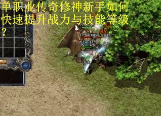 单职业传奇修神新手如何快速提升战力与技能等级？