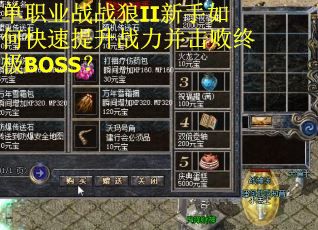 单职业战战狼II新手如何快速提升战力并击败终极BOSS？